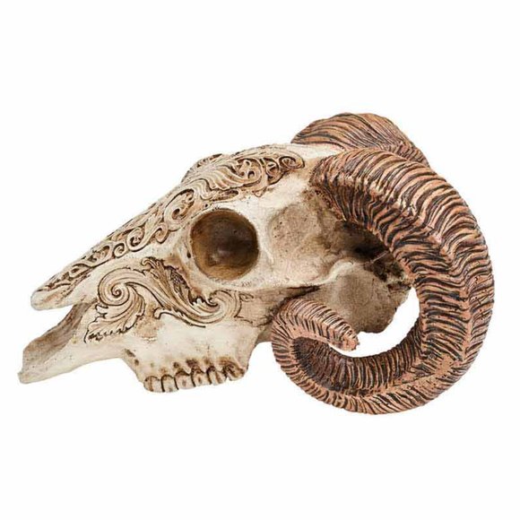 DISCONTINUED!!!  Alchemy Gothic Rams Scrimshaw Skull Statue Decor New in Box - Picture 2 of 3